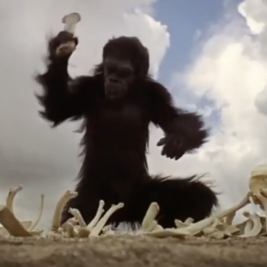 Ape+Thigh Bone + A Million Years = Boom!