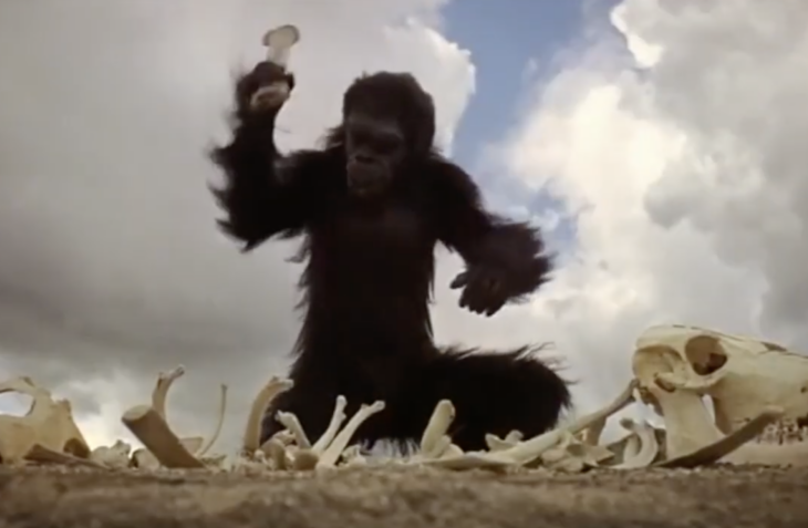 Ape+Thigh Bone + A Million Years = Boom!